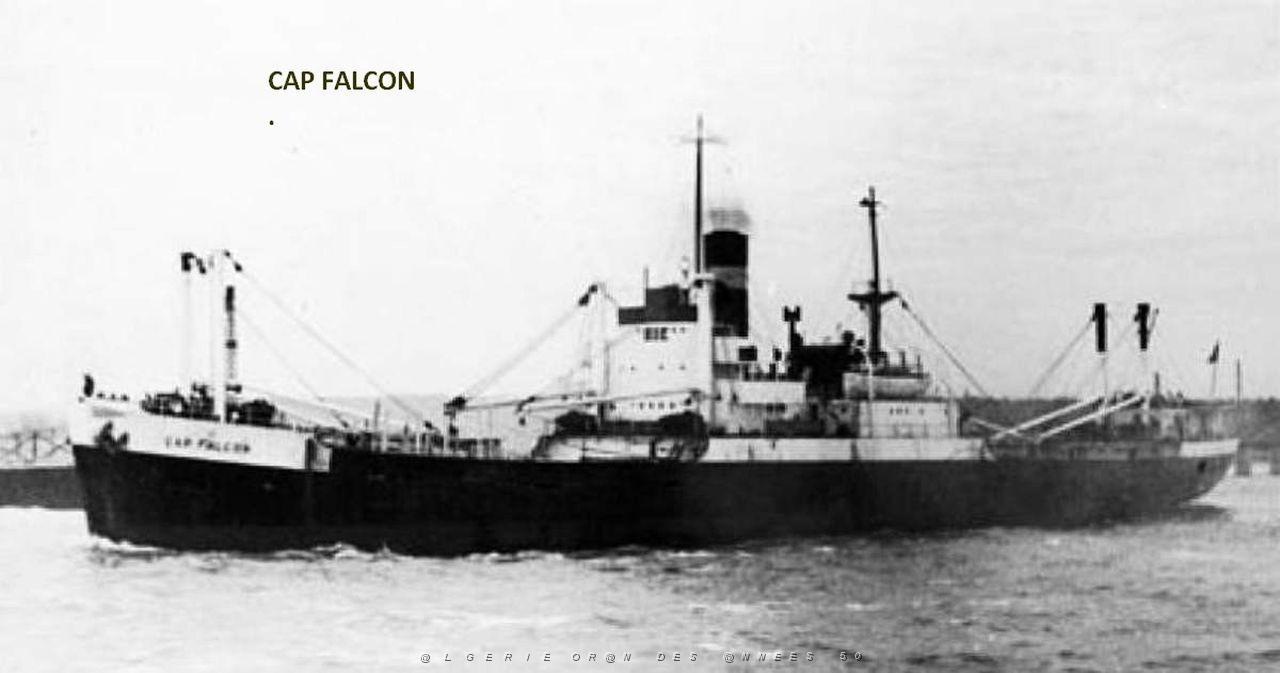 CAP FALCON 02.JPG